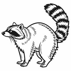 vector of a raccoon