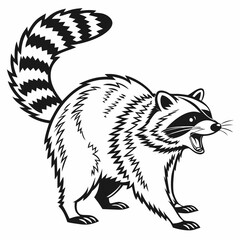 vector of a raccoon