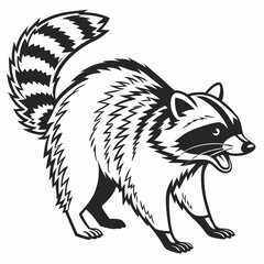 vector of a raccoon