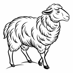vector of a sheep