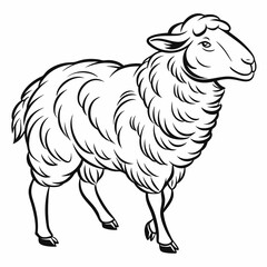 vector of a sheep