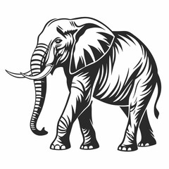 elephant vector silhouette