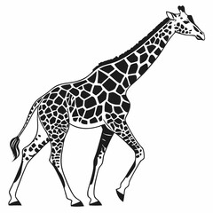 giraffe vector illustration