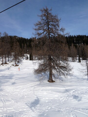 Skifahren im Skigebiet Zauchensee