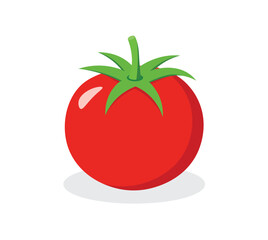 tomato vector illustration