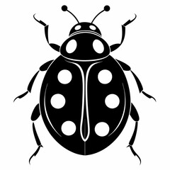 Ladybug vector silhouette black design white background
