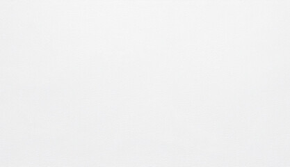 Fototapeta premium White Abstract Texture Background