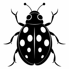 Ladybug vector silhouette black design white background