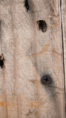 Old wood texture for background. Used wood texture.
