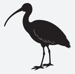 Obraz premium scarlet silhouette vector art illustration, crane silhouette vector