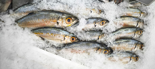 Fresh fish on ice at the fresh market.