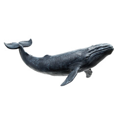 Naklejka premium Sperm whale png marine whale png majestic sperm whale png ocean sperm whale png colossal sperm whale png wild whale png transparent background image