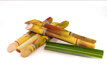 Sugar cane, Cane, Sugarcane piece fresh, Sugar cane isolated on white background
