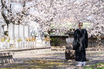 僧侶と樹木葬のイメージ