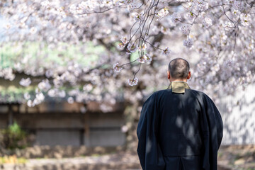Fototapeta premium 僧侶と樹木葬のイメージ