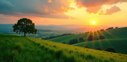 Obraz premium Landscape of Marche near Ancona during sunset, with green rolling hills and isolated trees, region, Marche
