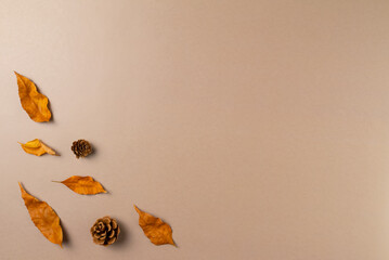 Autumn background with leaves on beige background. Top view, copy space
