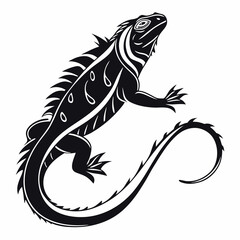 Marine Iguana  vector silhouette black design white background