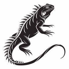 Marine Iguana  vector silhouette black design white background