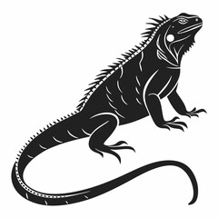 Marine Iguana  vector silhouette black design white background