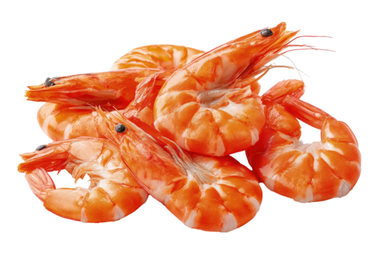 Cooked shrimp piled on transparent background