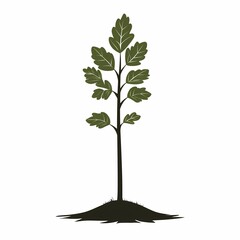 Beautiful Green Tree: A Botanical Illustration of Nature's Sustainable Ecosystem