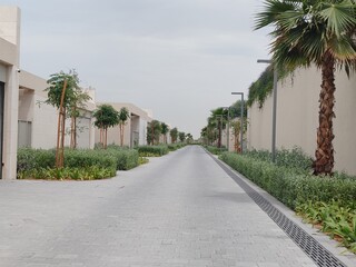 Obraz premium Villa's Or Houses With Their Cream Color Design And Front Side Outdoor View. Green Landscaping With Washingtonia Trees At Front Side Of Villa's. Interlock Road Passing At Front Of The Villa's