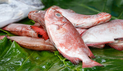 A pile of fish on a green leaf