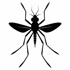 Mosquito vector silhouette black design white background