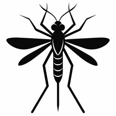 Mosquito vector silhouette black design white background
