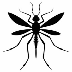 Mosquito vector silhouette black design white background