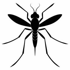 Mosquito vector silhouette black design white background
