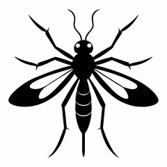 Mosquito vector silhouette black design white background