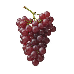 Fototapeta premium Fresh Red Grapes Fruit with Stems Still Life High Quality Isolated Photo