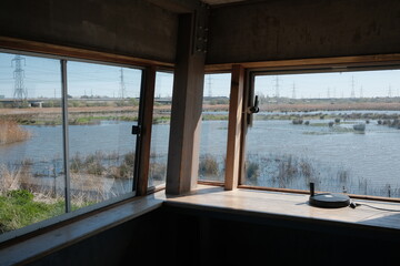 view from the window of birdwatch hide