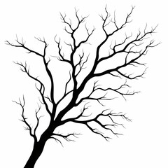 Obraz premium Silhouette of Leafless Tree Branch: Minimalist Natural Vector Artwork for Seasonal and Winter Aesthetic Design