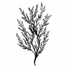 Fototapeta premium Minimalist Black and White Botanical Illustration: Organic Nature-Inspired Design Element