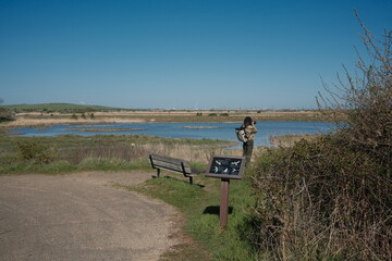 birdwatcher taking photos in marshes
