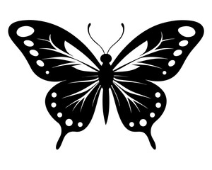 Butterfly Silhouette Vector Design, Butterfly SVG, Butterfly Icon