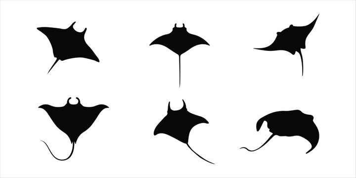 manta ray vector set illustration on white background. manta ray Silhouette.