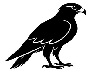 Falcon Silhouette Vector Design, Falcon SVG, Falcon Icon