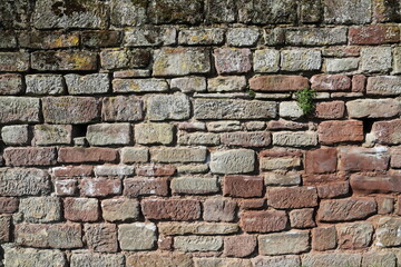 Stonewall as background