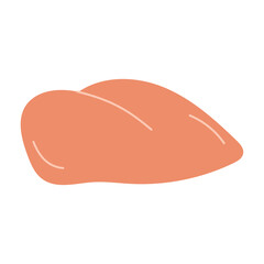 Chicken breast fillet, raw poultry, meat, food. Vector illustration.