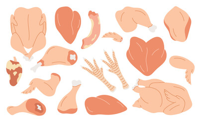 Set of fresh chicken raw meat. Set of chicken meat parts, neck, breast, fillet, heart, thigh, drumstick, carcass, legs.