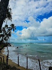 Cena de praia tropical idílica - praia