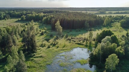 Aerial view of pristine woodlands featuring a serene wetland ecosystem scenery