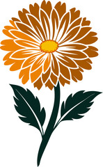 calendula silhoutette art vector on  transparent background