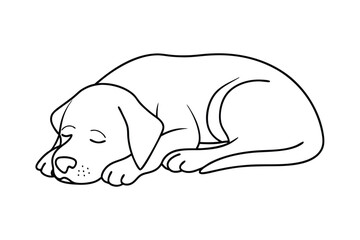 Sleeping Dog Line Art Cute Puppy Illustration Simple Minimalist Design Animal Outline