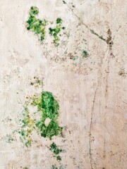 green grunge background