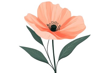 Naklejka premium Isolated Peach Poppy Blossom with Green Leaves and a Dark Center on White Background